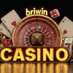 brwin-login-2-_02